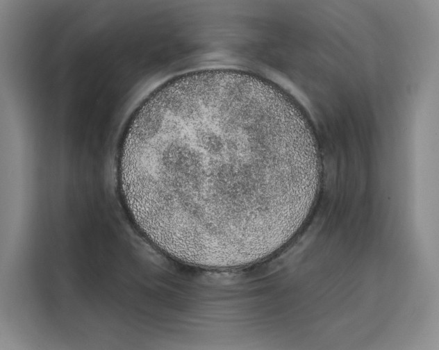 X0000115071415200911241113