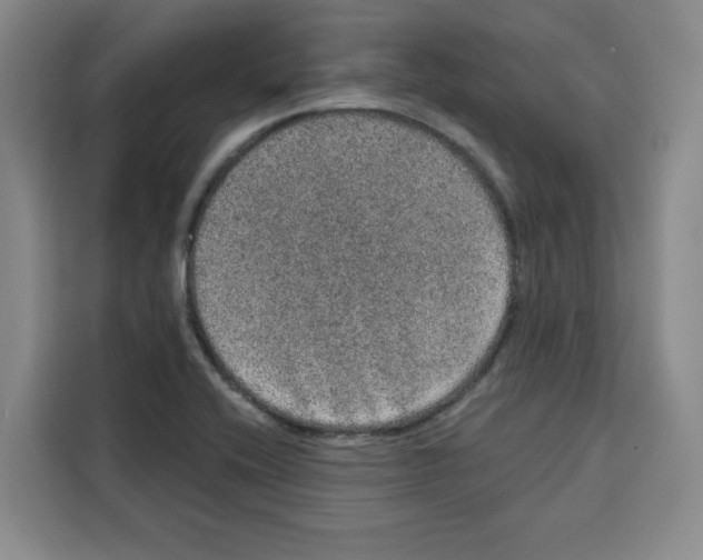 X0000115071416200911241113