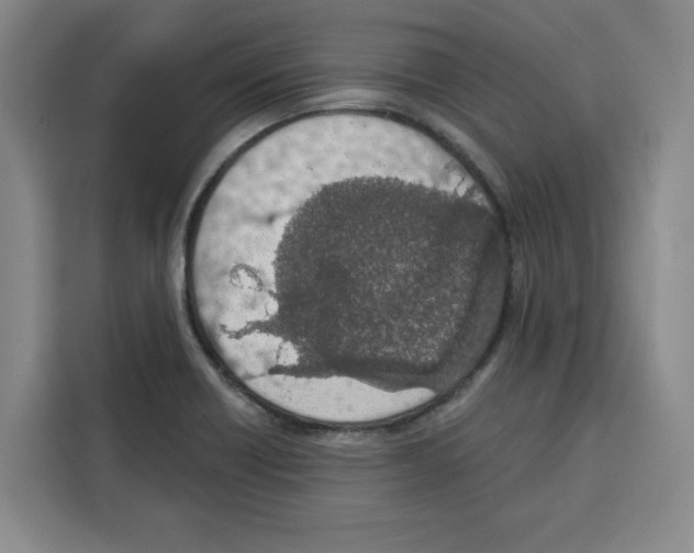 X0000115071418200911241113