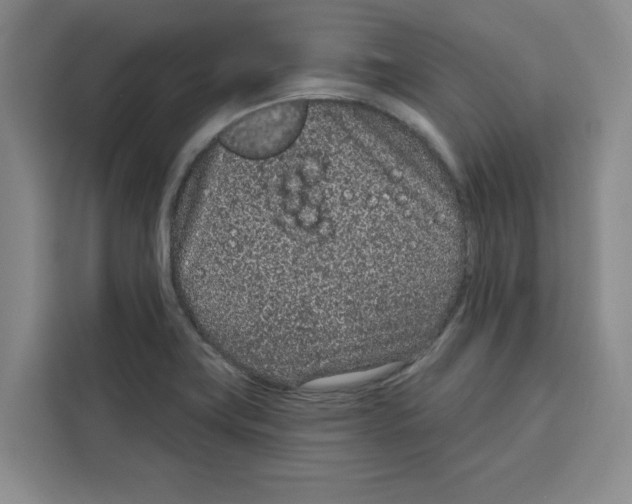 X0000115071419200911241113
