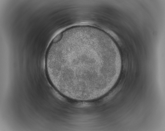 X0000115071420200911241113