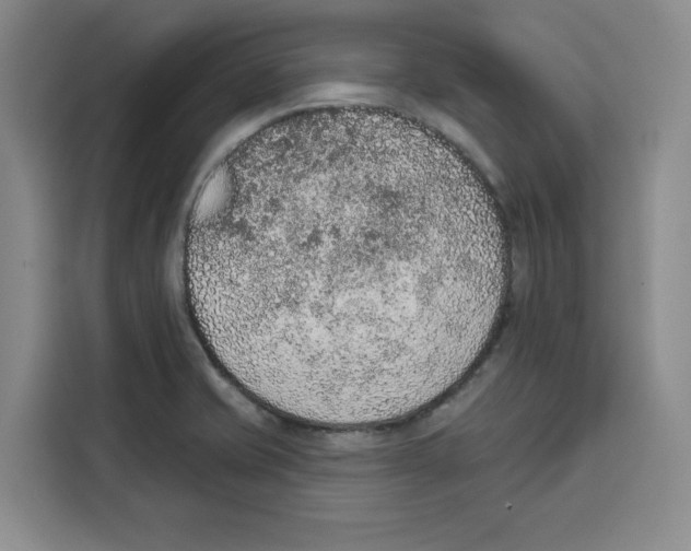 X0000115071421200911241113
