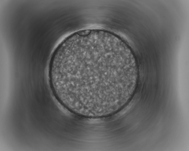 X0000115071422200911241113