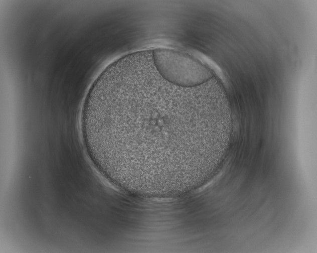 X0000115071423200911241113