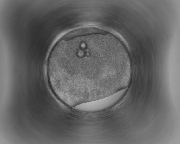 X0000115071424200911241113