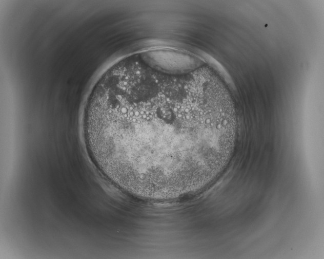 X0000115071427200911241113