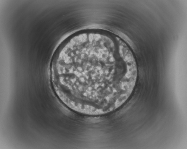 X0000115071428200911241113