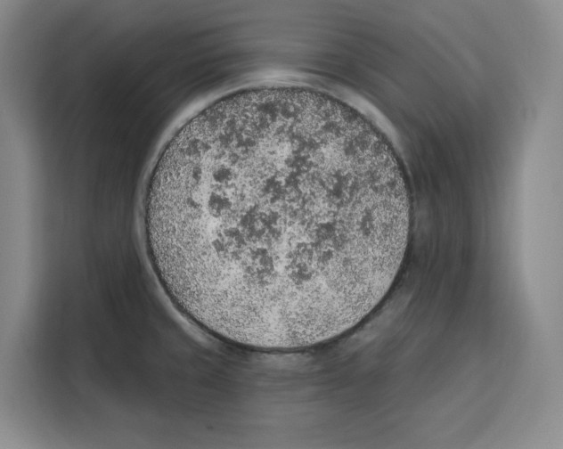 X0000115071429200911241113