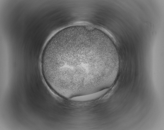 X0000115071430200911241113