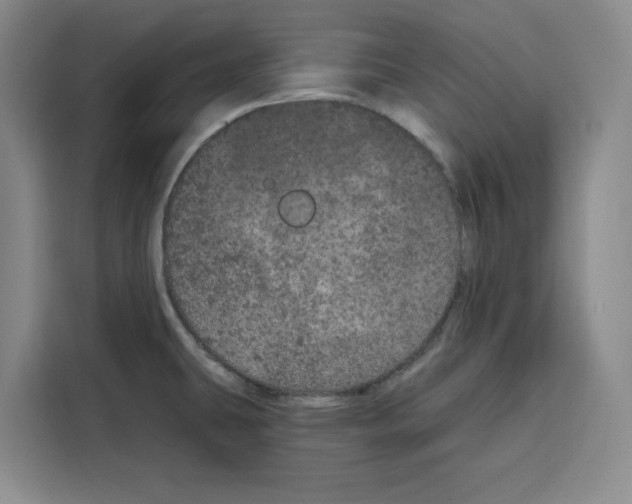 X0000115071431200911241113