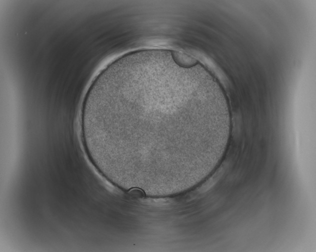 X0000115071432200911241113