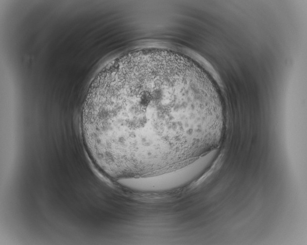 X0000115071433200911241113