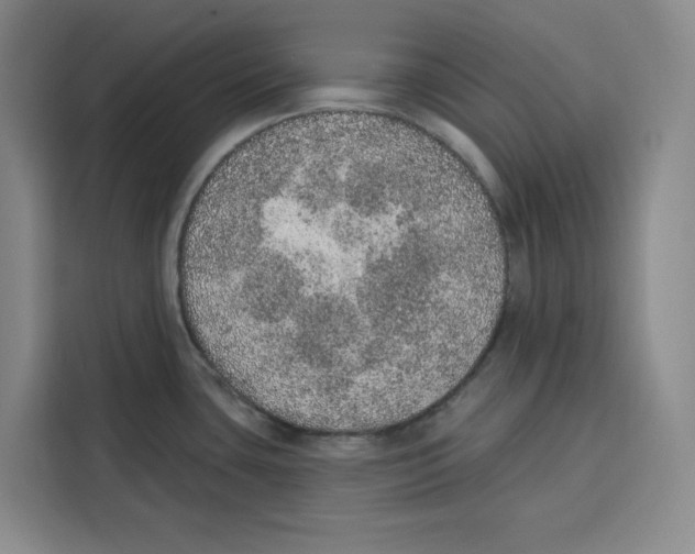 X0000115071435200911241113