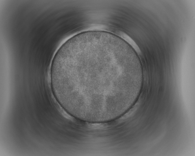 X0000115071436200911241113