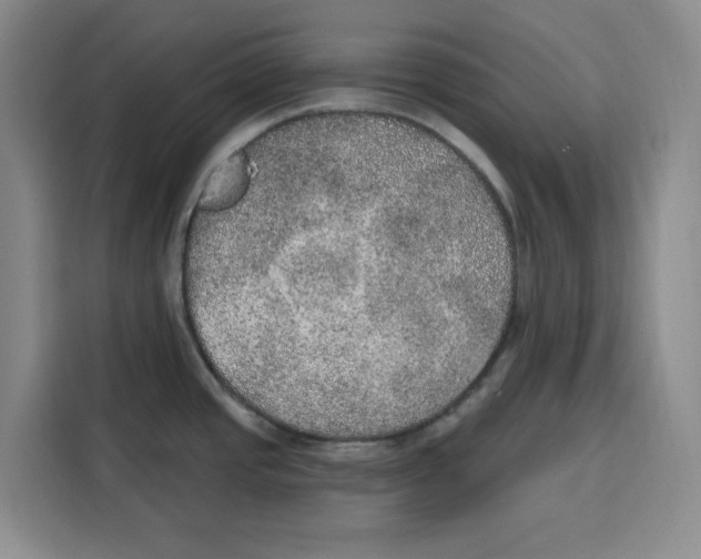 X0000115071437200911241113