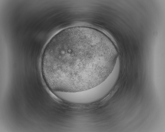 X0000115071438200911241113