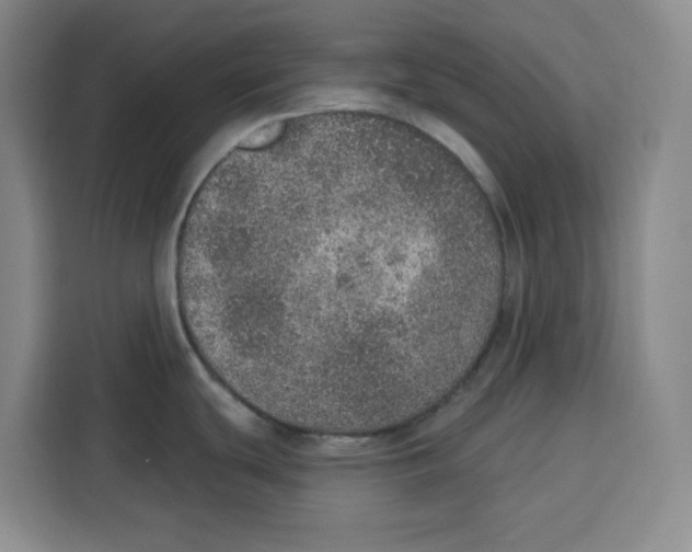 X0000115071439200911241113
