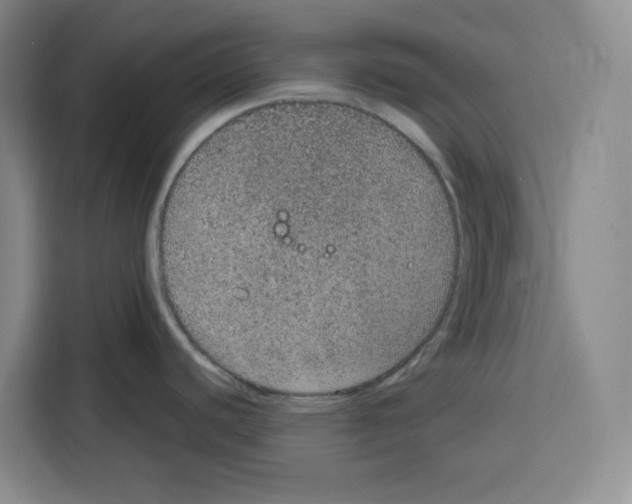 X0000115071440200911241113