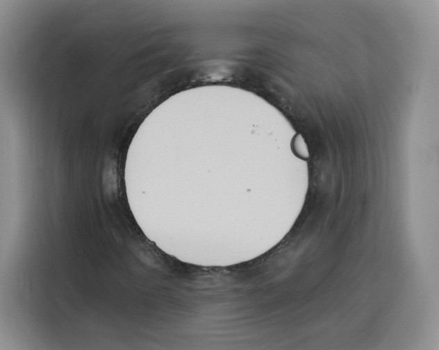 X0000115071442200911241113