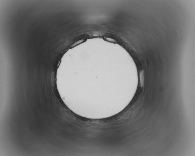 X0000115071443200911241113