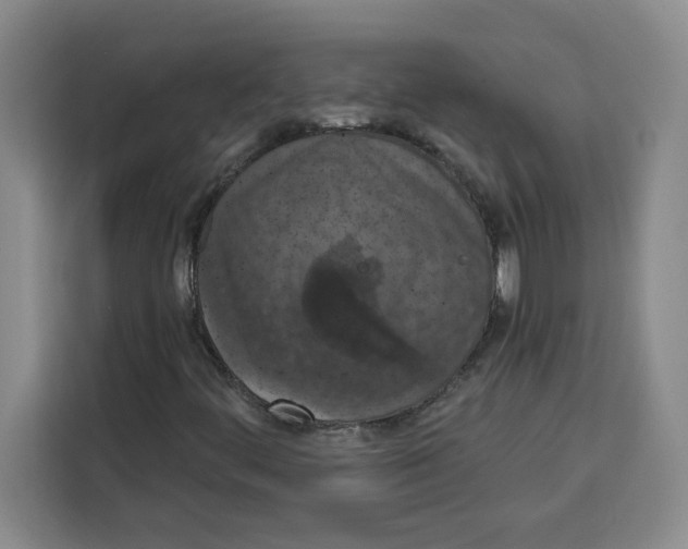 X0000115071444200911241113