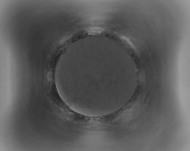 X0000115071445200911241113