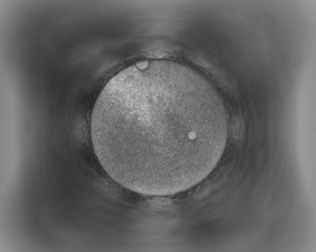 X0000115071446200911241113