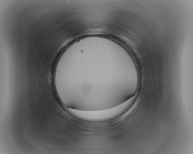 X0000115071449200911241112