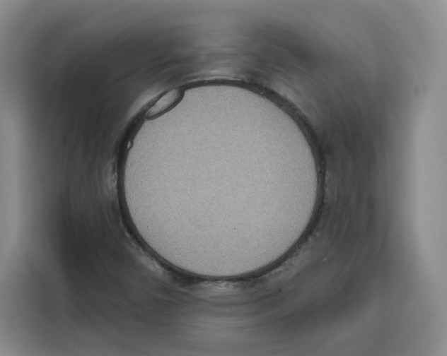 X0000115071450200911241112