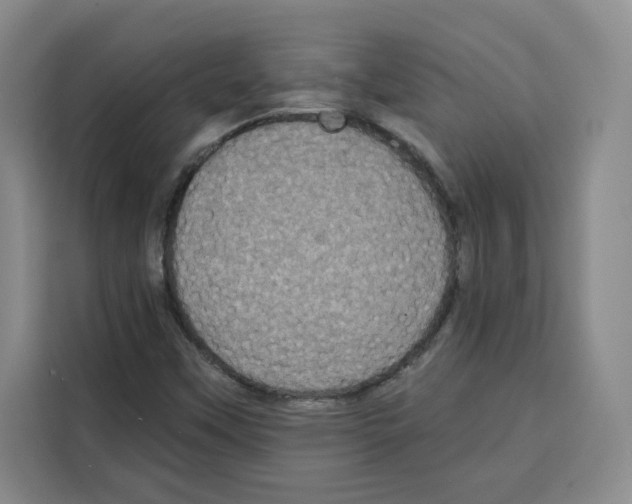 X0000115071451200911241112