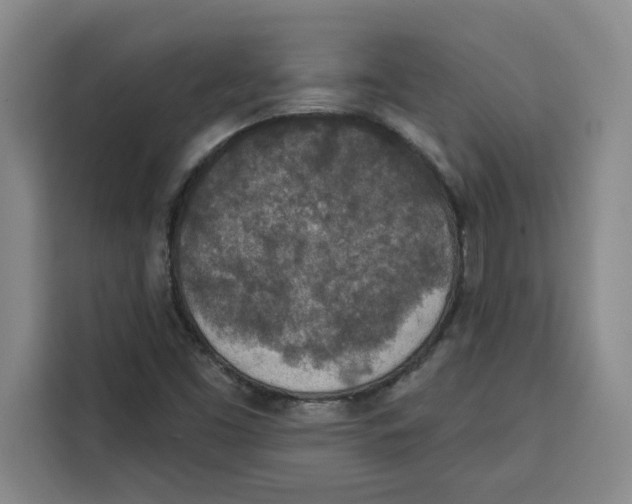X0000115071453200911241112