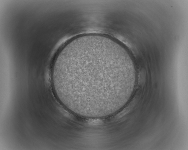 X0000115071454200911241112