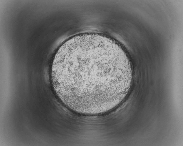 X0000115071455200911241112