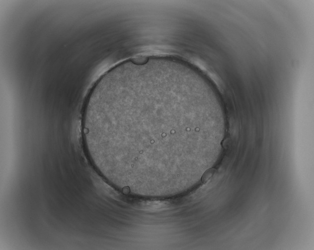 X0000115071459200911241112
