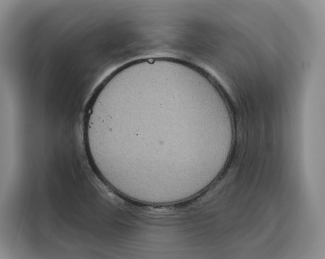 X0000115071460200911241112