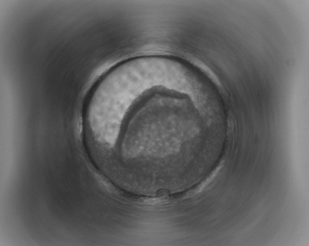 X0000115071461200911241112