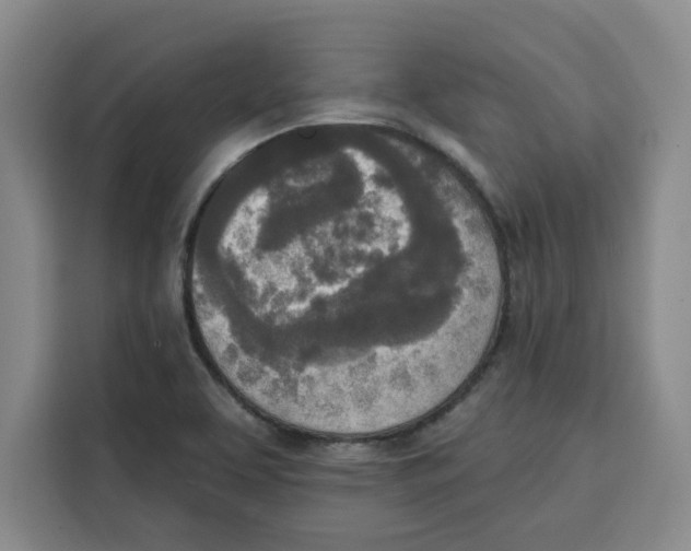 X0000115071463200911241112