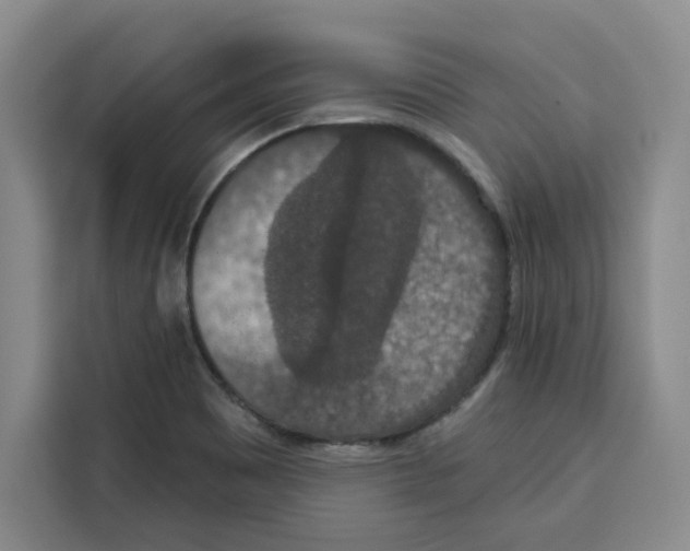X0000115071465200911241112