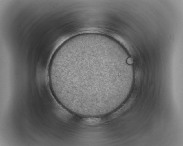 X0000115071466200911241112