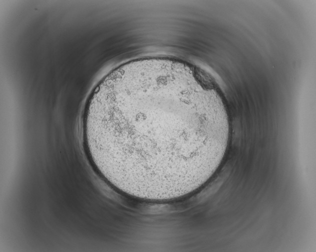X0000115071467200911241112