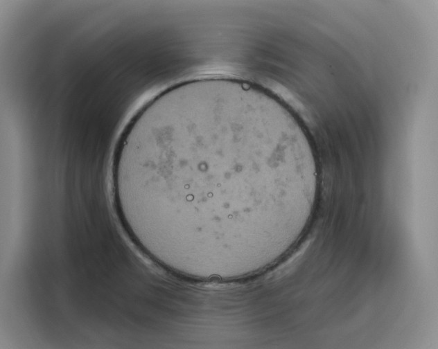 X0000115071469200911241112