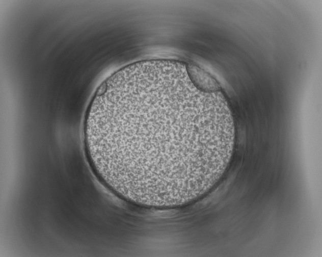 X0000115071471200911241112