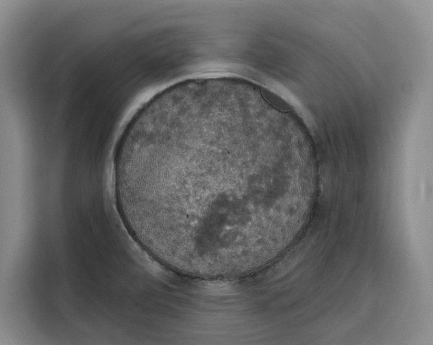X0000115071472200911241112