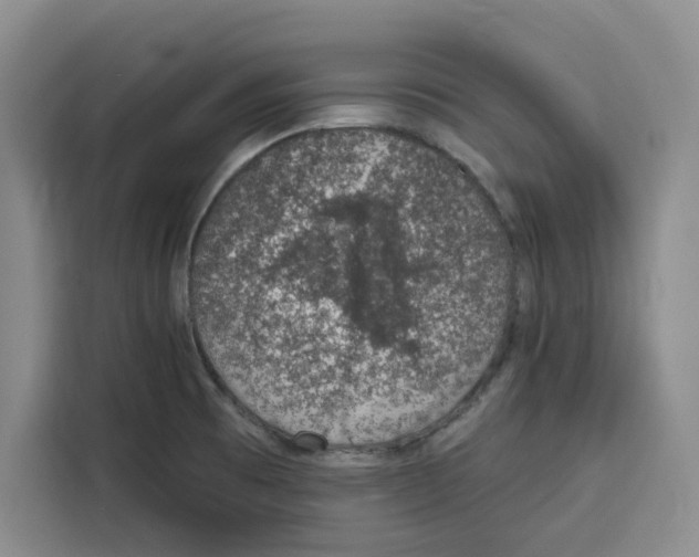 X0000115071473200911241112