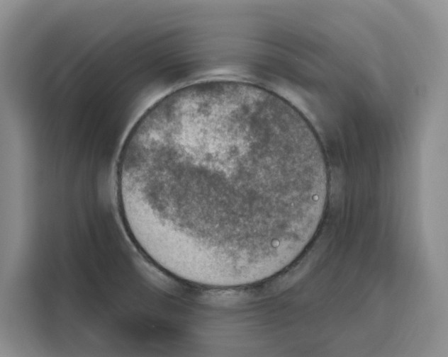 X0000115071474200911241112