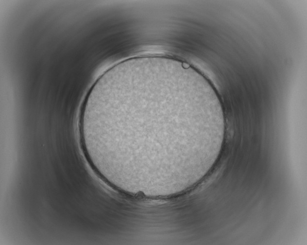 X0000115071475200911241112