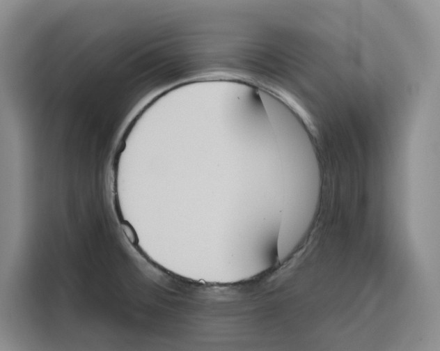 X0000115071476200911241112