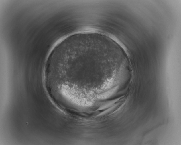 X0000115071477200911241112