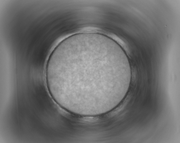 X0000115071478200911241112