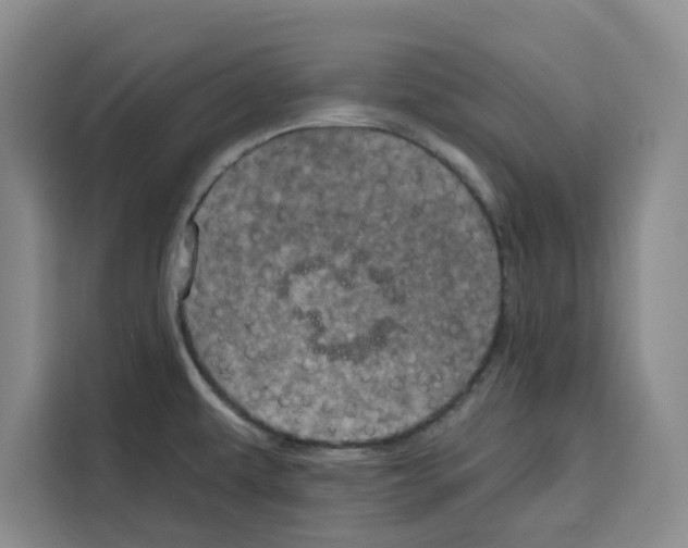 X0000115071479200911241112